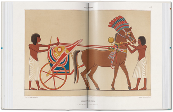 Бумажная книга «Prisse d'Avennes. Egyptian Art», автор Салима Икрам - фото №3 - миниатюра