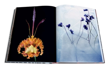 Бумажная книга «Flowers. Art & Bouquets», автор Сикстин Дабли - фото №5 - миниатюра