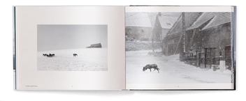 Паперова книга «Winterland: The Colors of Snow», автор Крістоф Жакро - фото №4 - мініатюра