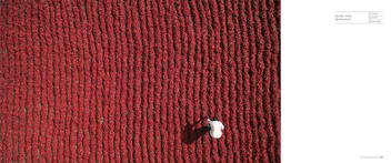Паперова книга «Dronescapes. The New Aerial Photography from Dronestagram» - фото №6 - мініатюра