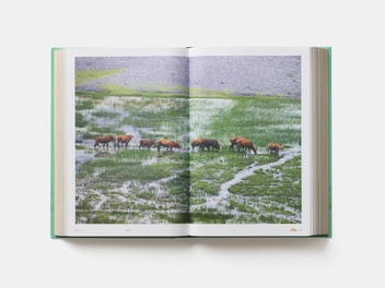 Бумажная книга «China: The Cookbook», авторов Кей Лум Чан, Диора Фонг Чан - фото №8 - миниатюра