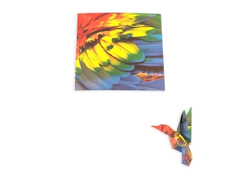 Паперова книга «Origami Paper. 300 sheets. Nature Photo Patterns. 10 cm» - фото №3 - мініатюра