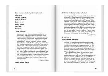 Паперова книга «Photo No-Nos. Meditations on What Not to Photograph», автор Джейсон Фулфорд - фото №6 - мініатюра