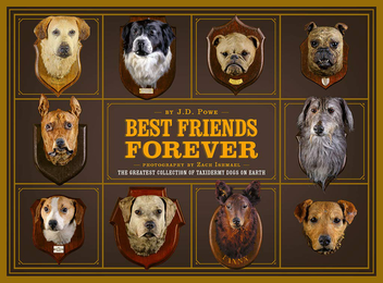 Бумажная книга «Best Friends Forever. The Greatest Collection of Taxidermy Dogs on Earth», автор Джей Ди Пауэр - фото №1 - миниатюра