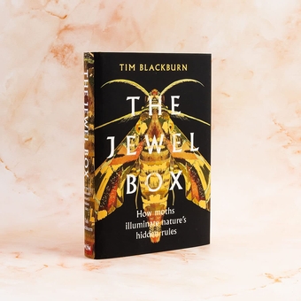 Бумажная книга «The Jewel Box», автор Тим Блэкберн - фото №2 - миниатюра