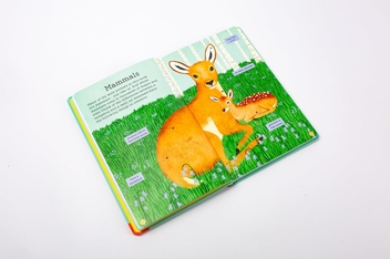 Бумажная книга «Out and About: Animal Spotter», автор Эмма С. Янг - фото №5 - миниатюра
