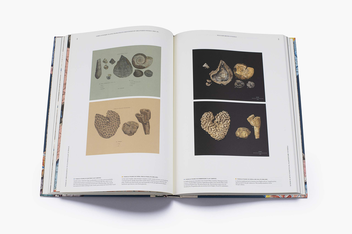 Паперова книга «STRATA. William Smith's Geological Maps» - фото №3 - мініатюра