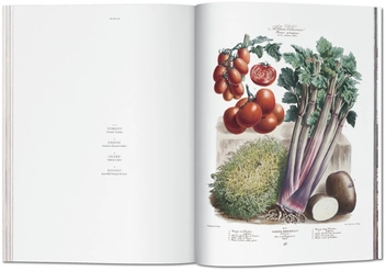 Бумажная книга «Vilmorin, Vegetable Garden» - фото №5 - миниатюра