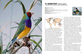 Бумажная книга «100 Birds to See in Your Lifetime: The Ultimate Wish-list for Birders Everywhere», автор Дэвид Чандлер - фото №2 - миниатюра
