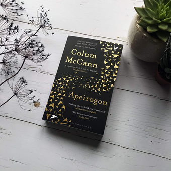 Бумажная книга «Apeirogon», автор Колум МакКэнн - фото №3 - миниатюра