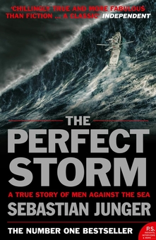 Бумажная книга «The Perfect Storm», автор Себастьян Юнгер - фото №1 - миниатюра