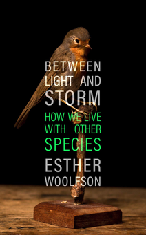 Паперова «Between Light and Storm. How We Live With Other Species», автора Естер Вулфсон– фото №1