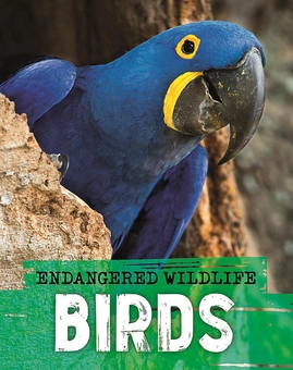 Паперова книга «Endangered Wildlife. Rescuing Birds», автор Аніта Ганері - фото №1 - мініатюра