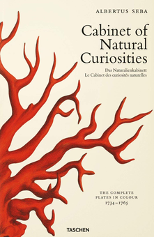 Паперова книга «Seba. Cabinet of Natural Curiosities», авторів Ірмгард Муш, Джес Руст - фото №1 - мініатюра