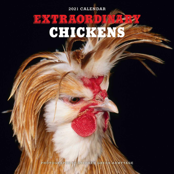 Паперова книга «Extraordinary Chickens 2021 Wall Calendar», автор Стівен Грін-Армітаж - фото №1 - мініатюра