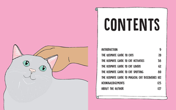 Паперова книга «I Touched a Cat and I Liked it», автор Анна Бландфорд - фото №4 - мініатюра