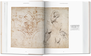 Паперова книга «Michelangelo. The Graphic Work » - фото №3 - мініатюра