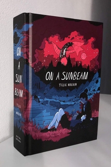 Паперова книга «On A Sunbeam», автор Тіллі Уолден - фото №3 - мініатюра