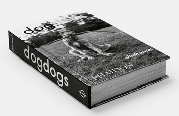 Паперова книга «DogDogs», автор Елліот Ервітт - фото №2 - мініатюра