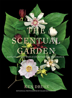 Бумажная «The Scentual Garden: Exploring the World of Botanical Fragrance», автора Без автора– фото №1