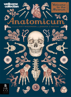 Паперова книга «Anatomicum», автор Дженніфер Пакстон - фото №1 - мініатюра