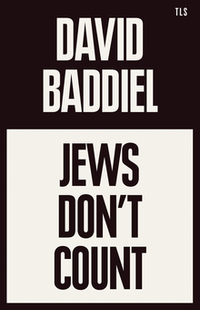 Паперова книга «Jews Don't Count», автор Девід Бедділ - фото №1 - мініатюра