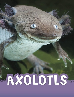 Паперова книга «Axolotls», автор Жаклін Джейкокс - фото №1 - мініатюра