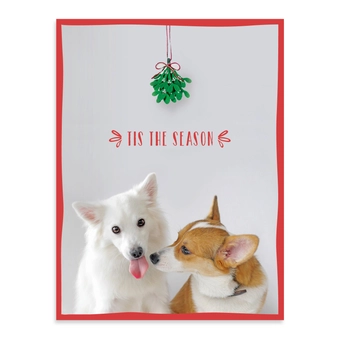 Бумажная книга «Festive Furry Friends Deluxe Notecard Collection» - фото №11 - миниатюра