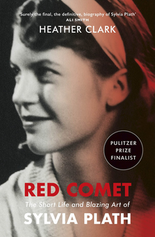 Паперова книга «Red Comet», автор Гізер Кларк - фото №1 - мініатюра