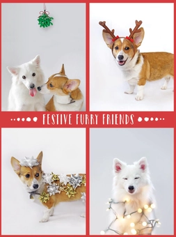 Бумажная книга «Festive Furry Friends Deluxe Notecard Collection» - фото №1 - миниатюра