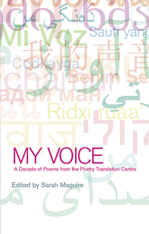 Бумажная книга «My Voice», автор Сара Магуайр - фото №1 - миниатюра