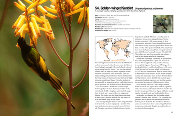 Бумажная книга «100 Birds to See in Your Lifetime: The Ultimate Wish-list for Birders Everywhere», автор Дэвид Чандлер - фото №4 - миниатюра