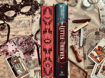 Бумажная книга «Little Thieves», автор Маргарет Оуэн - фото №3 - миниатюра