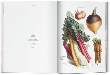 Бумажная книга «Vilmorin, Vegetable Garden» - фото №4 - миниатюра