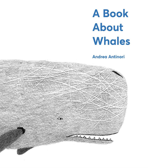 Бумажная книга «A Book About Whales», автор Андреа Антинори - фото №2 - миниатюра