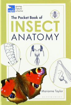 Бумажная книга «The Pocket Book of Insect Anatomy» - фото №1 - миниатюра