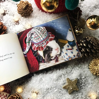 Бумажная книга «A Guinea Pig Night Before Christmas», авторов Клемент Кларк Мур, Тесс Ньюолл - фото №4 - миниатюра