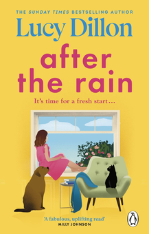 Паперова книга «After the Rain», автор Люсі Діллон - фото №1 - мініатюра