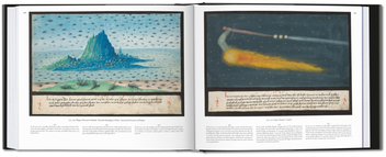 Бумажная книга «The Book of Miracles», автор Тилль-Хольгер Борхерт - фото №6 - миниатюра