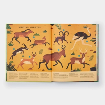 Бумажная книга «Extinct. An Illustrated Exploration of Animals That Have Disappeared», автор Лукас Риера - фото №6 - миниатюра