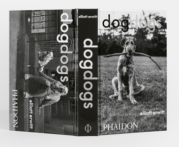 Паперова книга «DogDogs», автор Елліот Ервітт - фото №3 - мініатюра