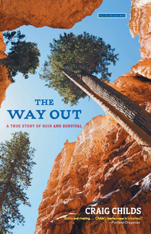 Бумажная книга «The Way Out», авторов Крейг Чайлдс, Каро Чайлдс - фото №1 - миниатюра