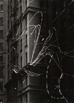 Паперова книга «Photography at MoMA», автор Квентін Баяк - фото №2 - мініатюра