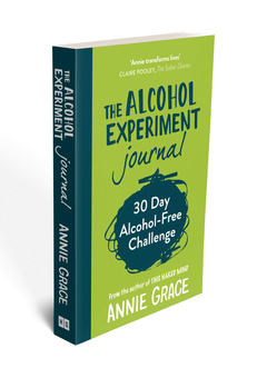 Паперова книга «The Alcohol Experiment Journal», автор Анні Грейс - фото №4 - мініатюра
