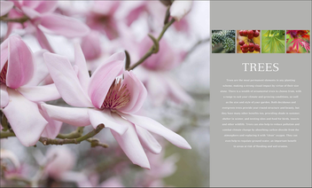 Бумажная книга «RHS Encyclopedia Of Plants and Flowers», автор Кристофер Брикелл - фото №2 - миниатюра