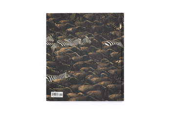 Бумажная книга «Into the Wild. The Story of the World's Greatest Wildlife Photography», автор Джемма Пэдли - фото №4 - миниатюра