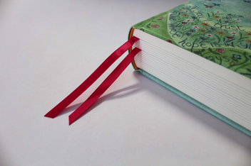Бумажная книга «NIV Journalling Bible Illustrated by Hannah Dunnett» - фото №9 - миниатюра