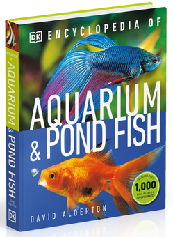 Бумажная книга «Encyclopedia of Aquarium and Pond Fish», автор Дэвид Олдертон - фото №3 - миниатюра