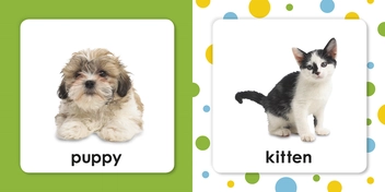 Бумажная книга «Squeaky Baby Bath Book. Baby Animals» - фото №3 - миниатюра