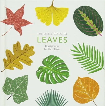 Бумажная книга «The Little Guide to Leaves» - фото №1 - миниатюра
